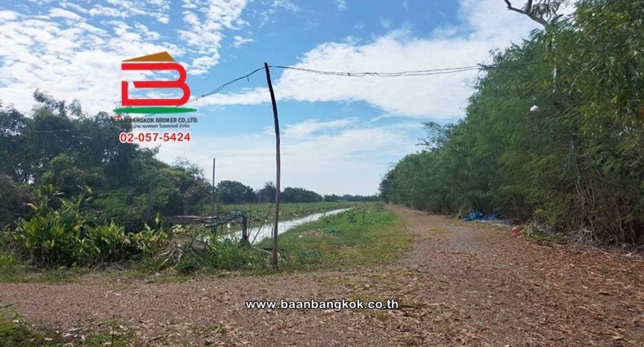 Terreno en venta en Nong Suea, Pathum Thani
