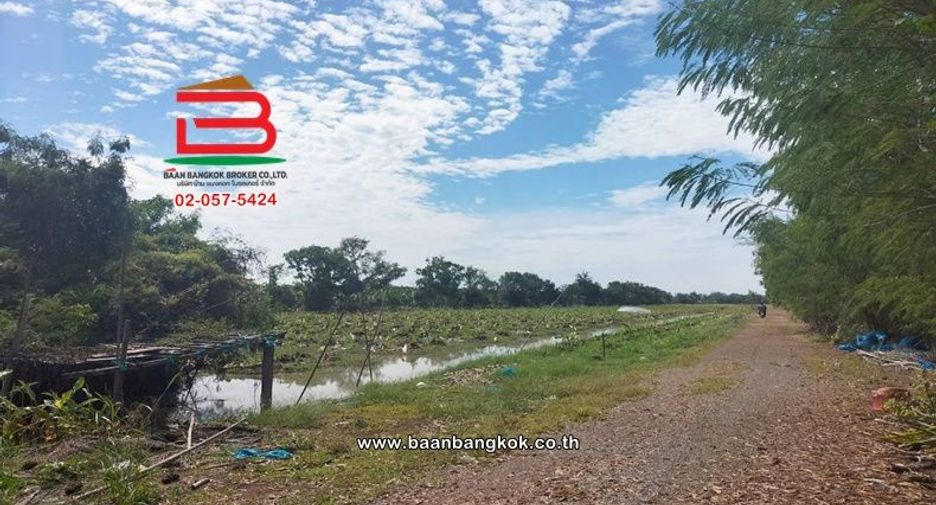 Terreno en venta en Nong Suea, Pathum Thani