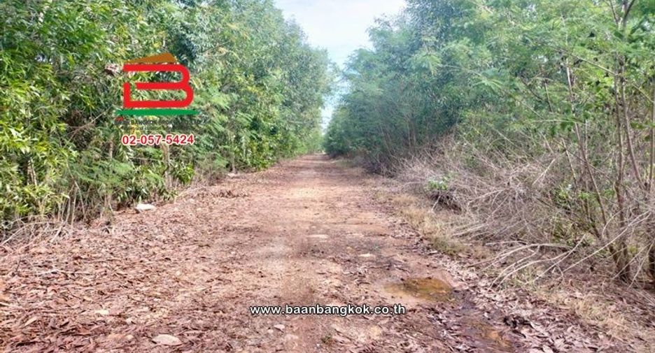 Terreno en venta en Nong Suea, Pathum Thani