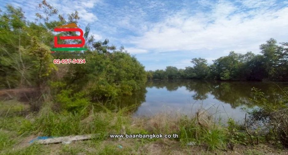 Terreno en venta en Nong Suea, Pathum Thani