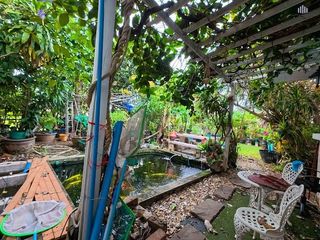 ขาย 4 ห้องนอน บ้านเดี่ยว ใน บางแค, กรุงเทพฯ
