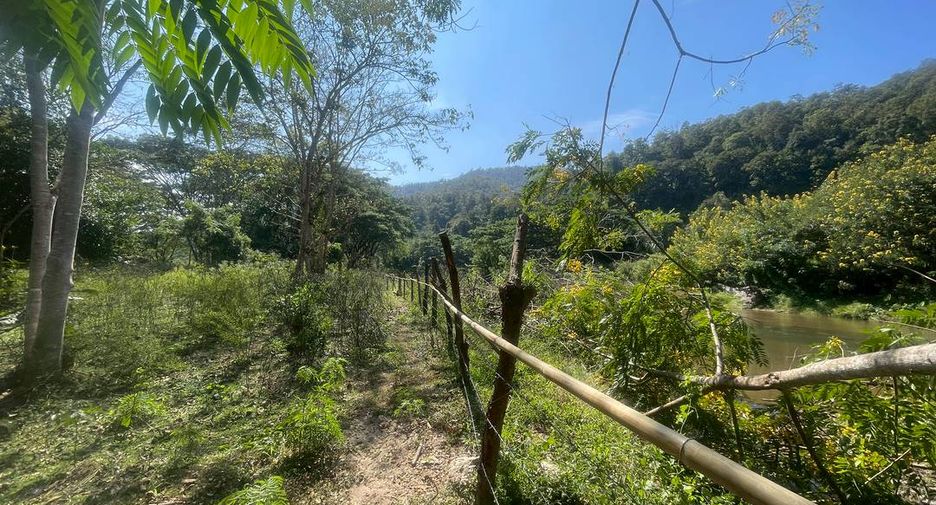 Grundstück zum Kauf in Doi Saket, Chiang Mai