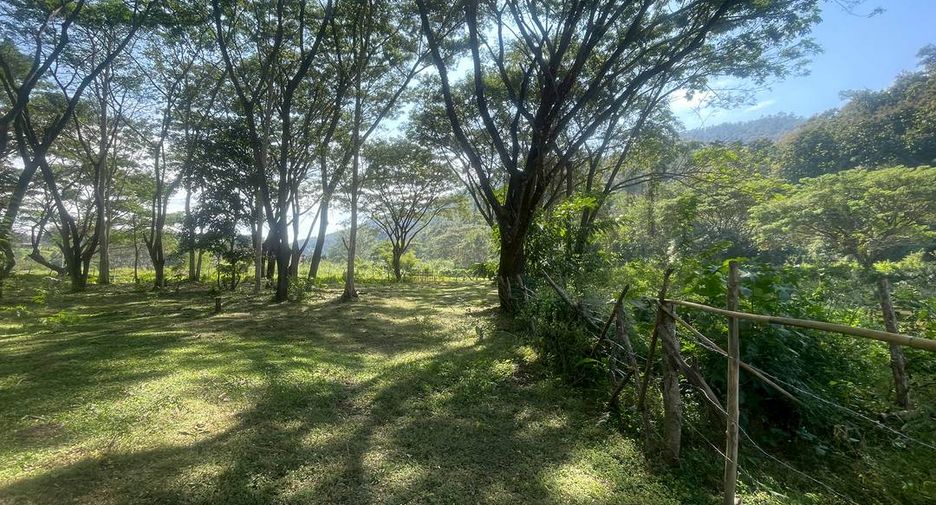 Grundstück zum Kauf in Doi Saket, Chiang Mai