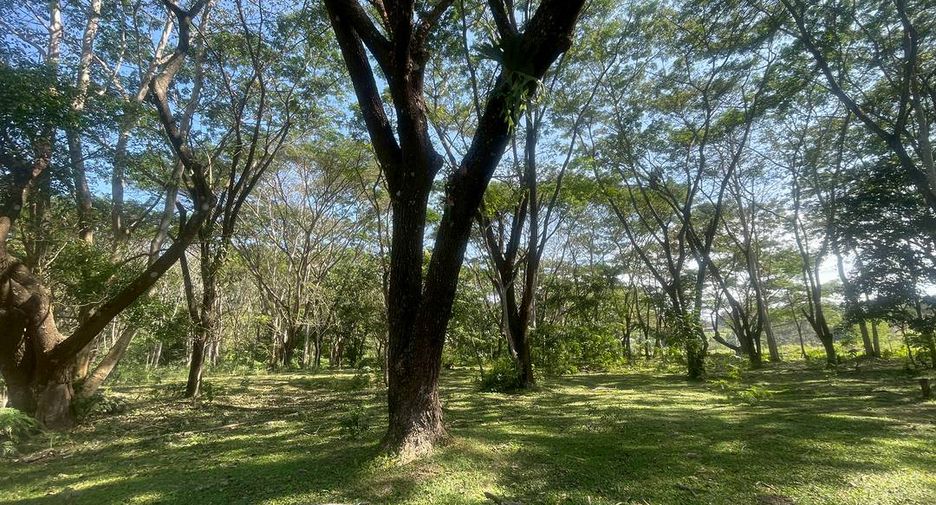 Grundstück zum Kauf in Doi Saket, Chiang Mai