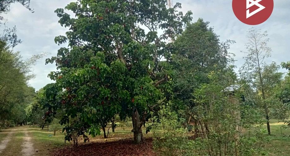 For sale land in Mueang Nakhon Nayok, Nakhon Nayok