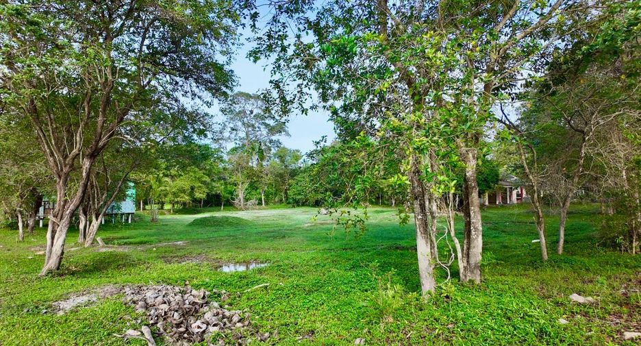 For sale land in Ko Samui, Surat Thani