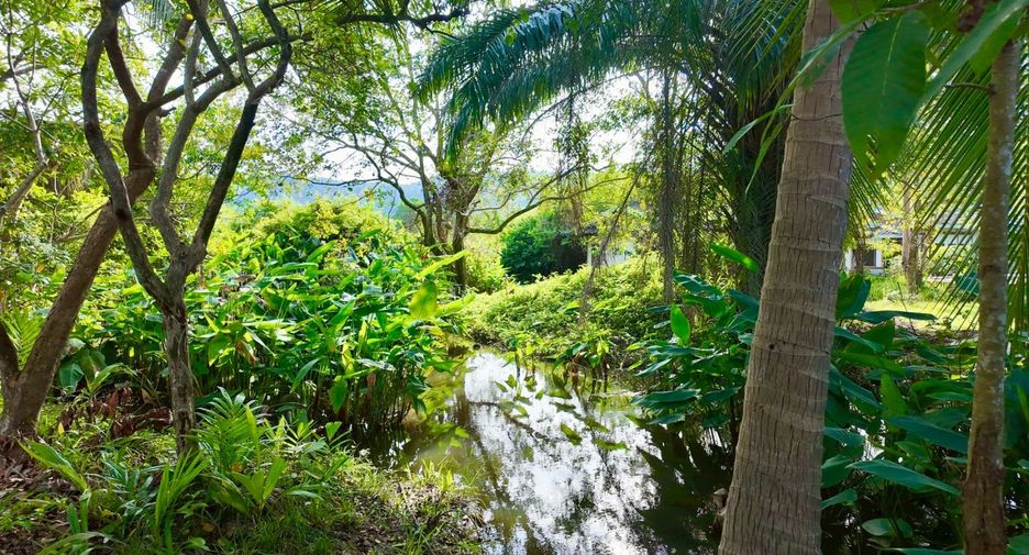 For sale land in Ko Samui, Surat Thani