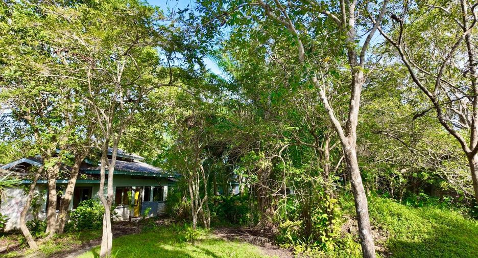 For sale land in Ko Samui, Surat Thani