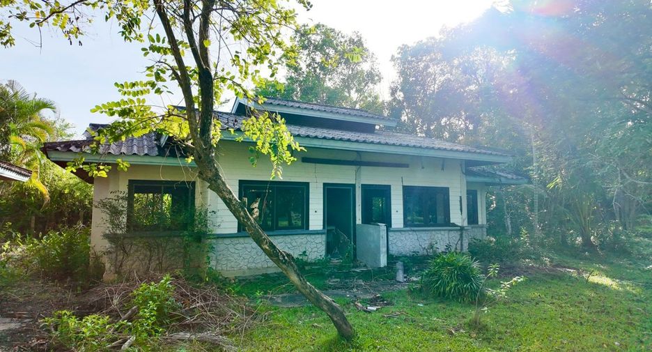 For sale land in Ko Samui, Surat Thani