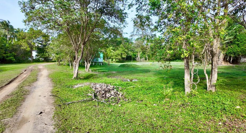 For sale land in Ko Samui, Surat Thani