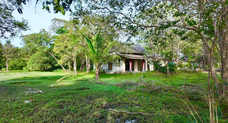 For sale land in Ko Samui, Surat Thani