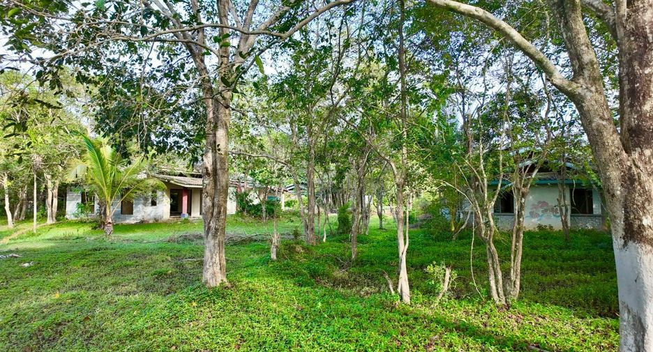 For sale land in Ko Samui, Surat Thani