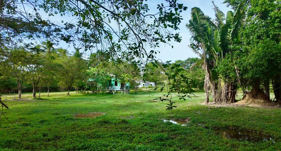 For sale land in Ko Samui, Surat Thani