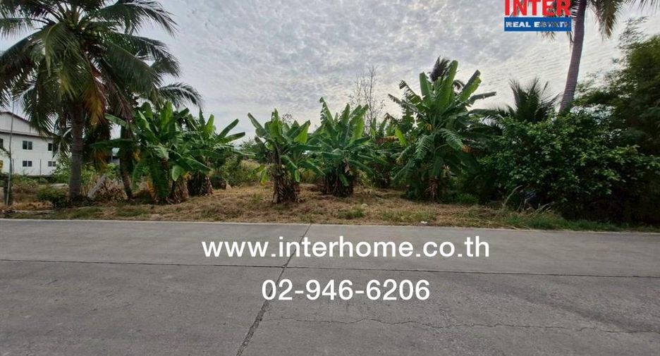 For sale land in Lat Lum Kaeo, Pathum Thani