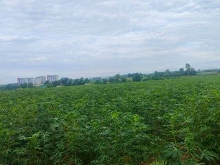 出售 土地 在 Pluak Daeng, Rayong