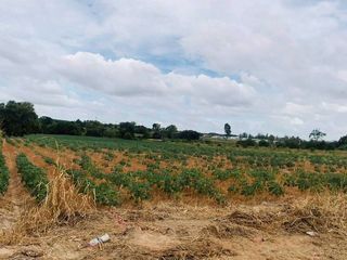 出售 土地 在 Pluak Daeng, Rayong