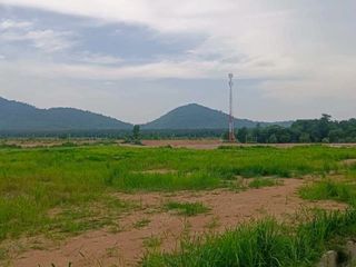 ขาย ที่ดิน ใน หนองใหญ่, ชลบุรี