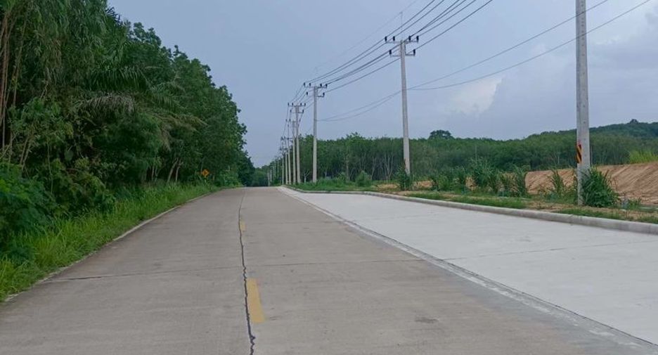 For sale land in Nong Yai, Chonburi