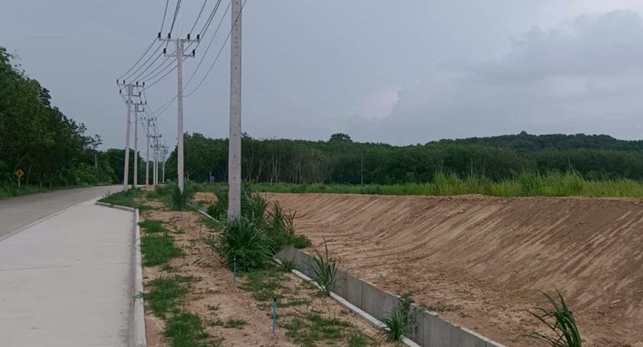 For sale land in Nong Yai, Chonburi