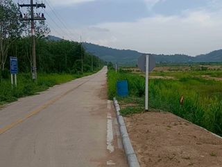 ขาย ที่ดิน ใน หนองใหญ่, ชลบุรี