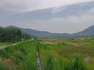 ขาย ที่ดิน ใน หนองใหญ่, ชลบุรี