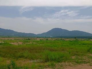 ขาย ที่ดิน ใน หนองใหญ่, ชลบุรี