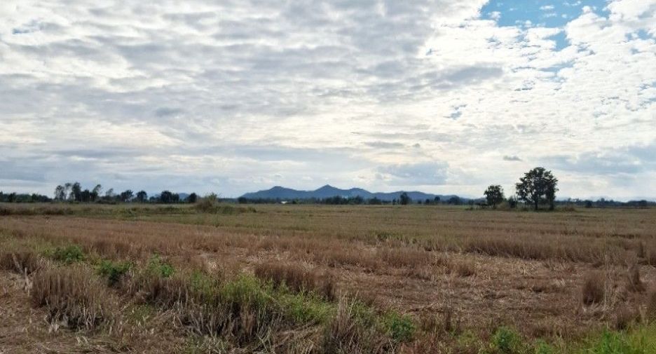 For sale land in Thoeng, Chiang Rai