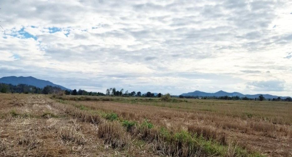 For sale land in Thoeng, Chiang Rai