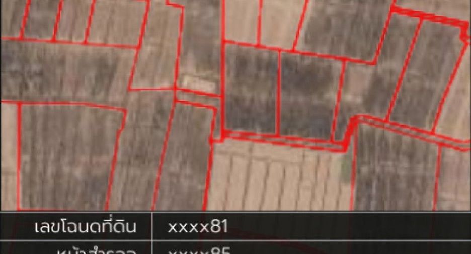 For sale land in Thoeng, Chiang Rai