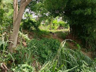 出售 土地 在 Pluak Daeng, Rayong