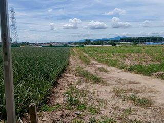 出售 土地 在 Pluak Daeng, Rayong