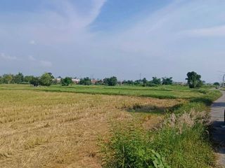 For sale land in Si Racha, Chonburi