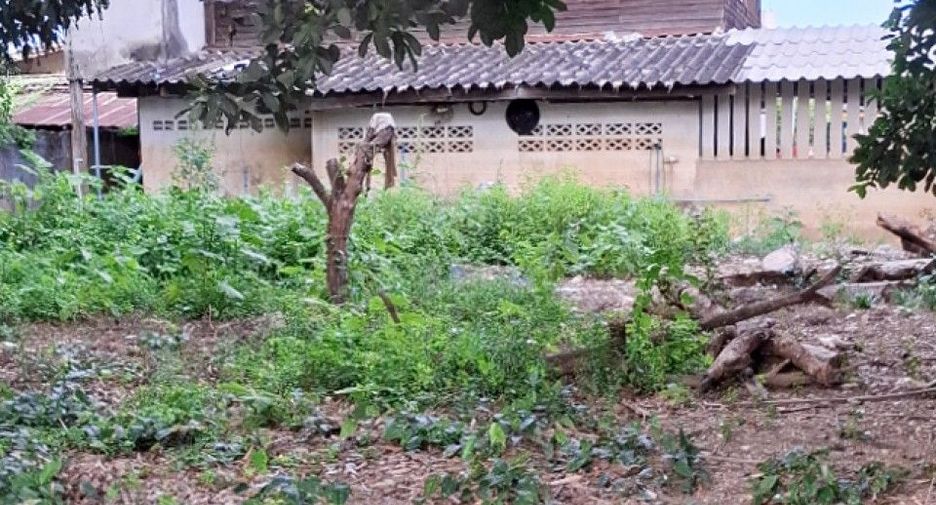 For sale 3 bedrooms house in Thoeng, Chiang Rai