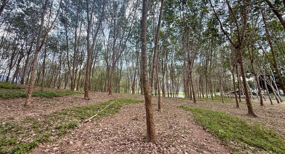 ขาย ที่ดิน ใน เมืองกระบี่, กระบี่