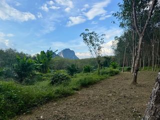 ขาย ที่ดิน ใน เมืองกระบี่, กระบี่
