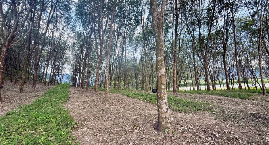 ขาย ที่ดิน ใน เมืองกระบี่, กระบี่