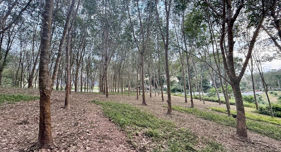 ขาย ที่ดิน ใน เมืองกระบี่, กระบี่