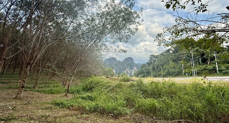 ขาย ที่ดิน ใน เมืองกระบี่, กระบี่