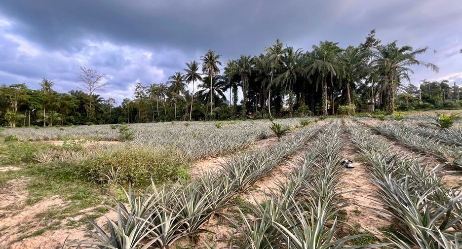 Grundstück zum Kauf in Mueang Krabi, Krabi