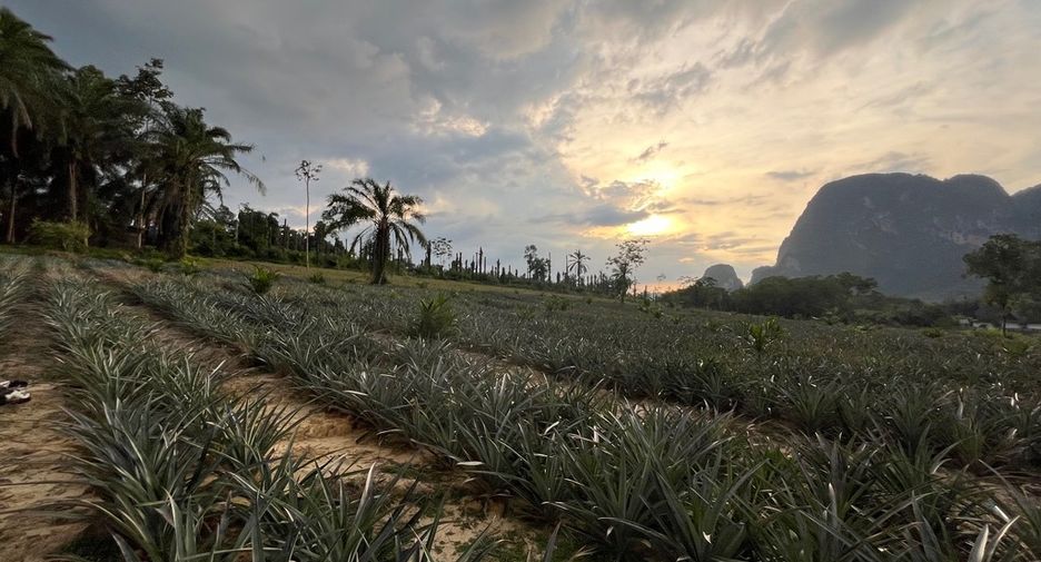 Grundstück zum Kauf in Mueang Krabi, Krabi