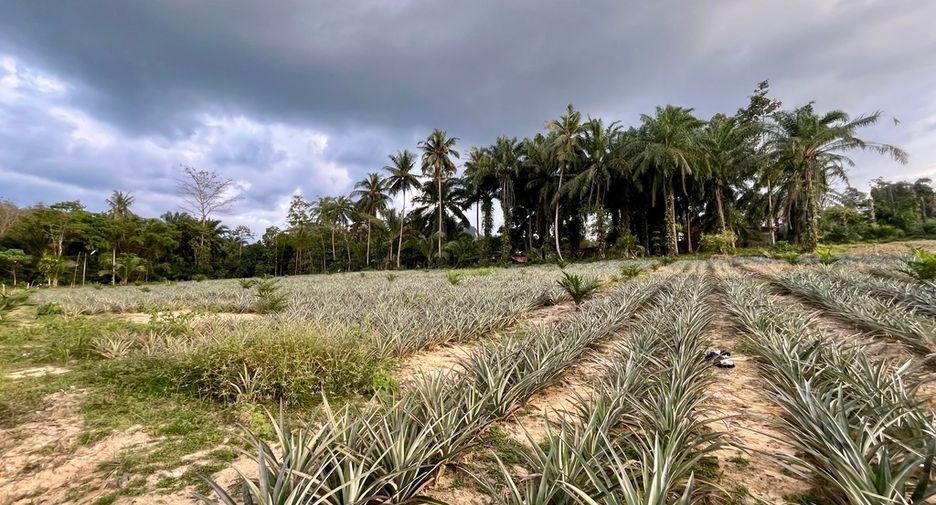 Grundstück zum Kauf in Mueang Krabi, Krabi