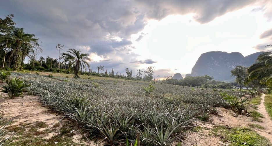 Grundstück zum Kauf in Mueang Krabi, Krabi
