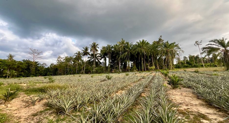 Grundstück zum Kauf in Mueang Krabi, Krabi