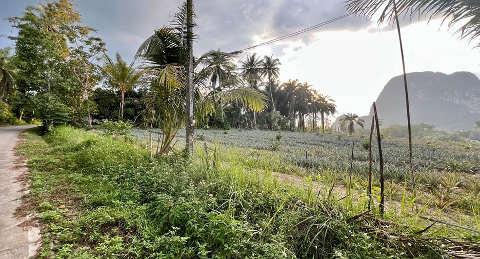 Grundstück zum Kauf in Mueang Krabi, Krabi