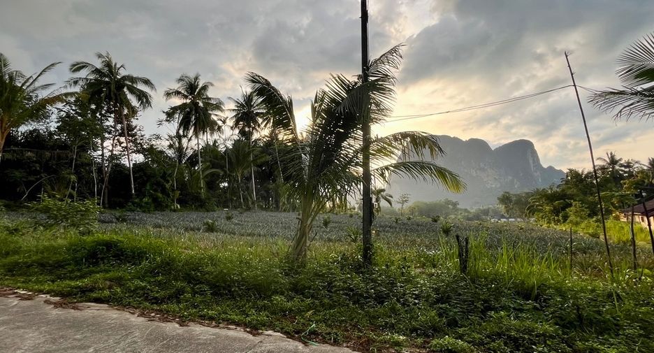 Grundstück zum Kauf in Mueang Krabi, Krabi