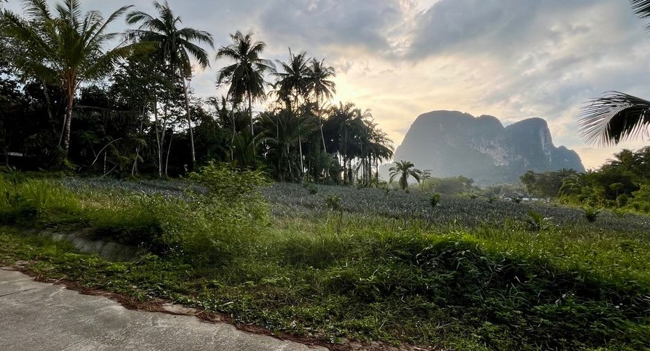 Grundstück zum Kauf in Mueang Krabi, Krabi