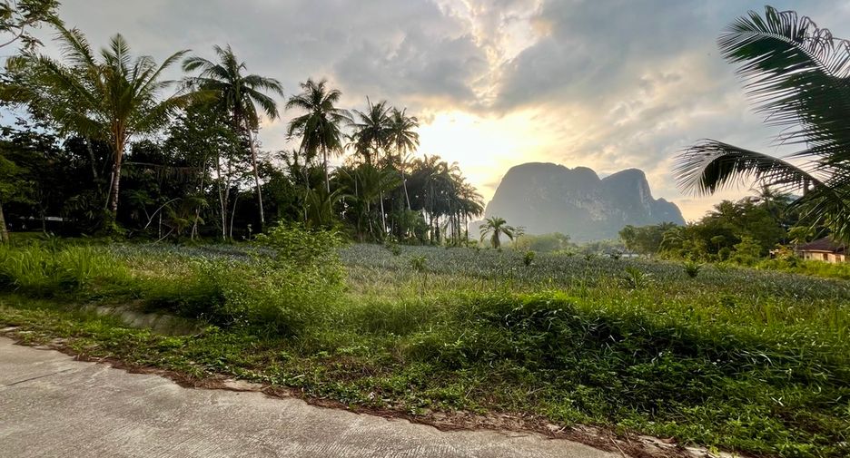 Grundstück zum Kauf in Mueang Krabi, Krabi