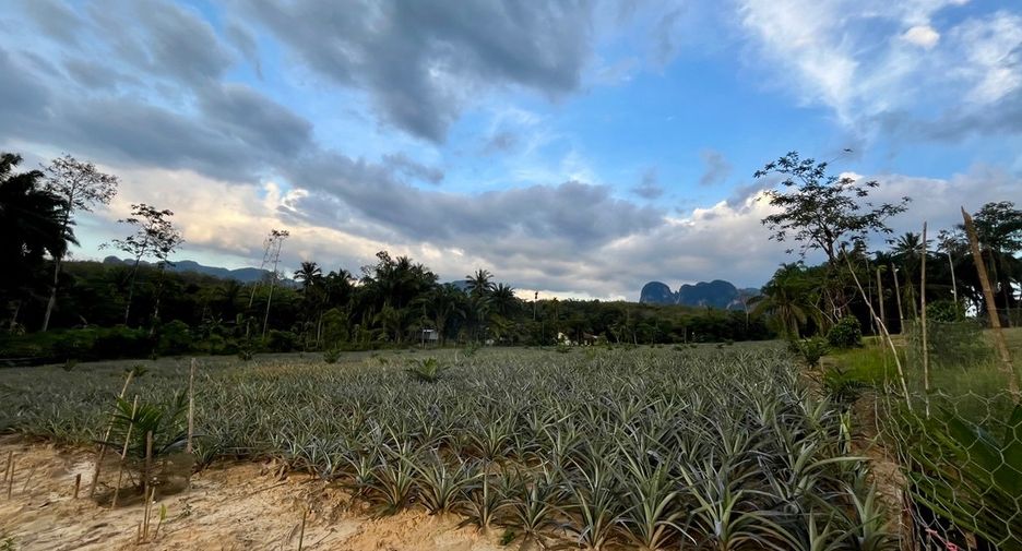 Grundstück zum Kauf in Mueang Krabi, Krabi