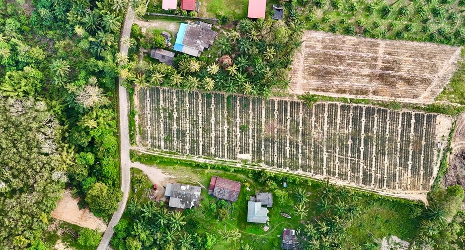 Grundstück zum Kauf in Mueang Krabi, Krabi