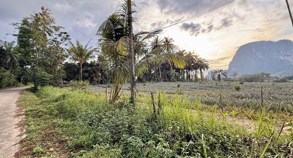 À vendre terrain à Mueang Krabi, Krabi